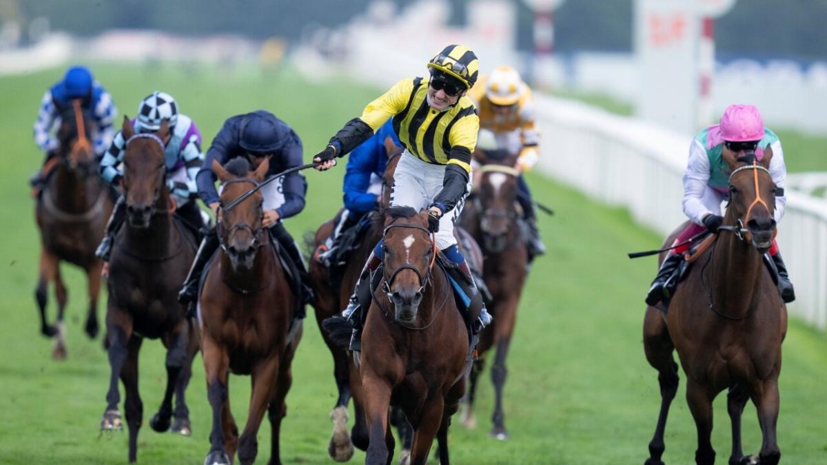 Saturday ITV Racing Tips: Mark Milligan's three to back at up to 15/2